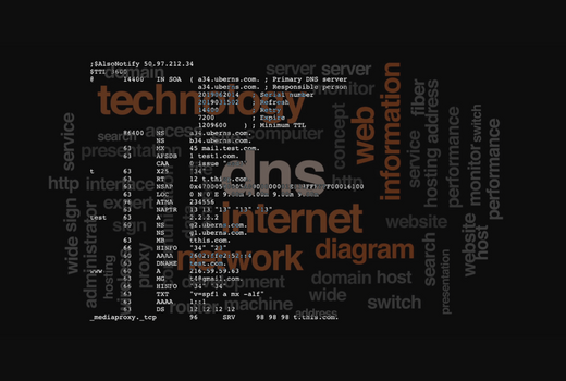 Pranshi Infosoft - DNS Configuration Programming